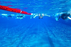 Triathlon