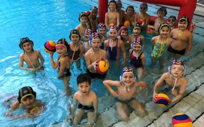 Wasserball Minis